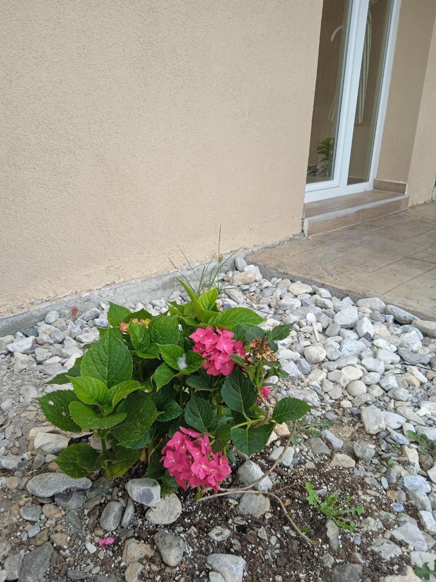Sylias Village Skala Korinou Экстерьер фото